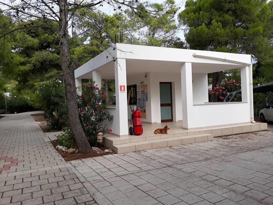 Villaggio Sabbiadoro Vieste Exterior photo